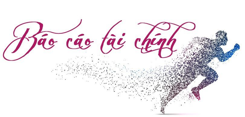 Khái quát về báo cáo tài chính