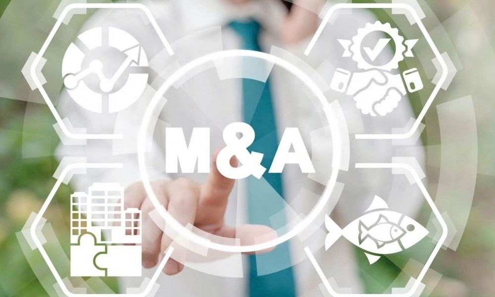 Vốn lưu động ròng cần kiểm tra những gì?