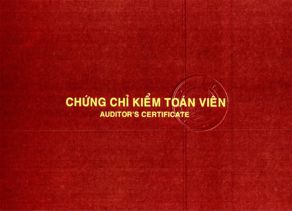 Chứng chỉ kiểm toán viên của chuyên gia Nguyễn Hồ Ngọc (Mr Wick Kiểm toán)